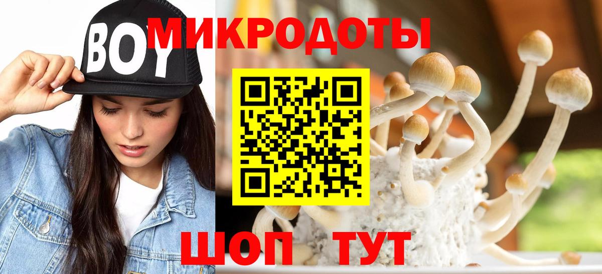 Всеволожск  Псилоцибиновые грибы Cubensis  Вход с VPN  Галлюциногенные грибы GOLDEN TEACHER 